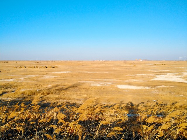 什么是爱情当代大学生的爱情观,大学不同时期的爱情观