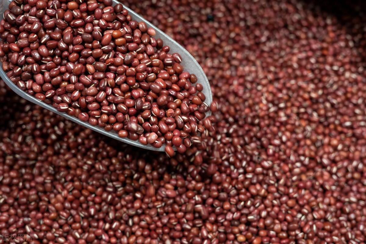 暴食晚餐吃什么补救,暴食吃什么食物比较好