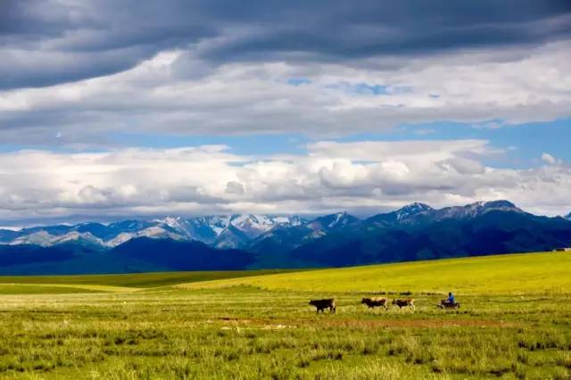 这条惊艳奇绝的公路,行走在天山脊梁上的最美景观公路