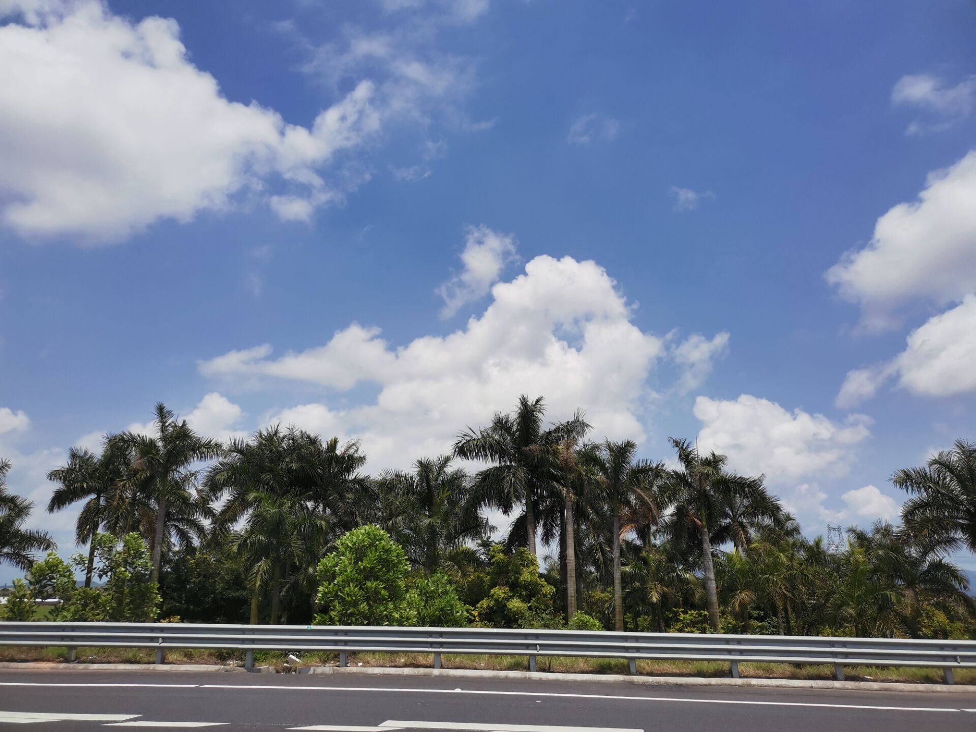 高一英语必修一unit1读单词,高一英语必修一单词2-3单元