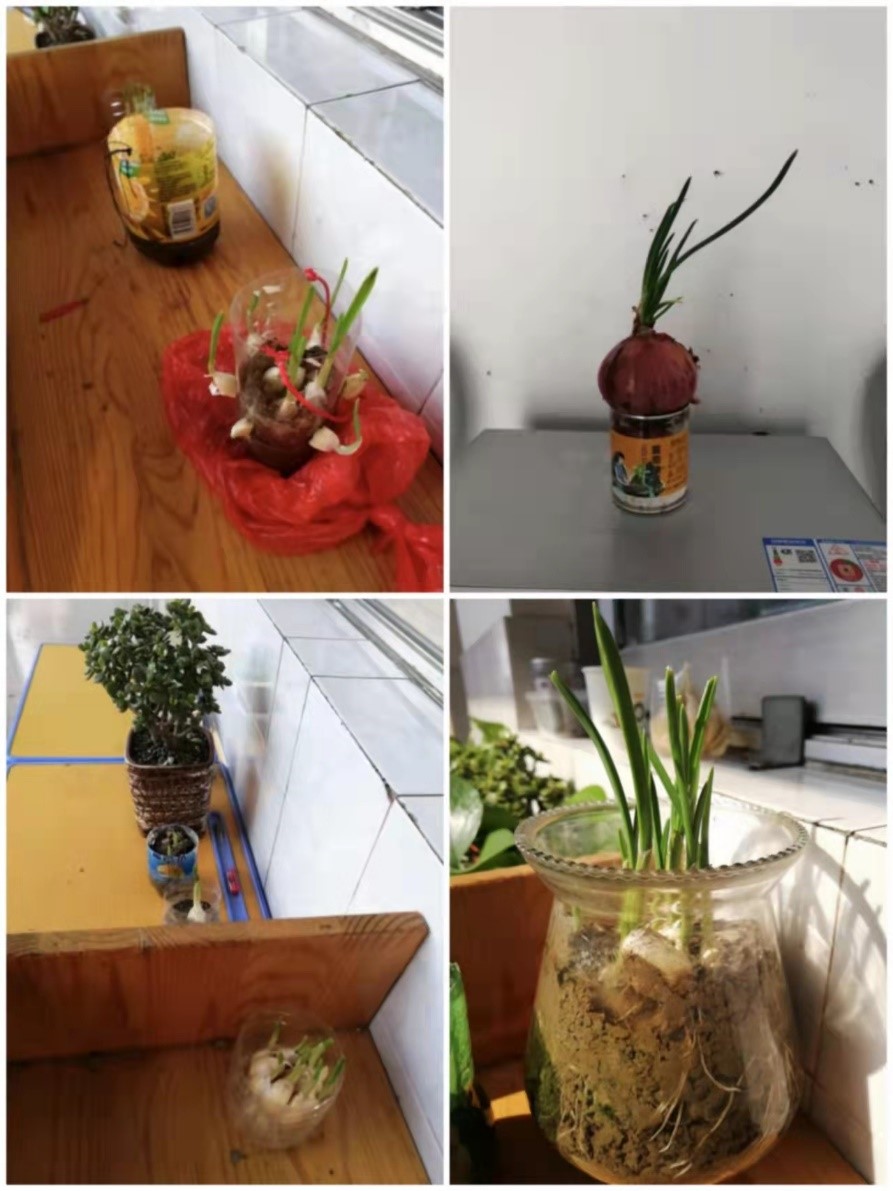 缤纷冬日寒假实践活动手册,幸福寒假实践活动手册