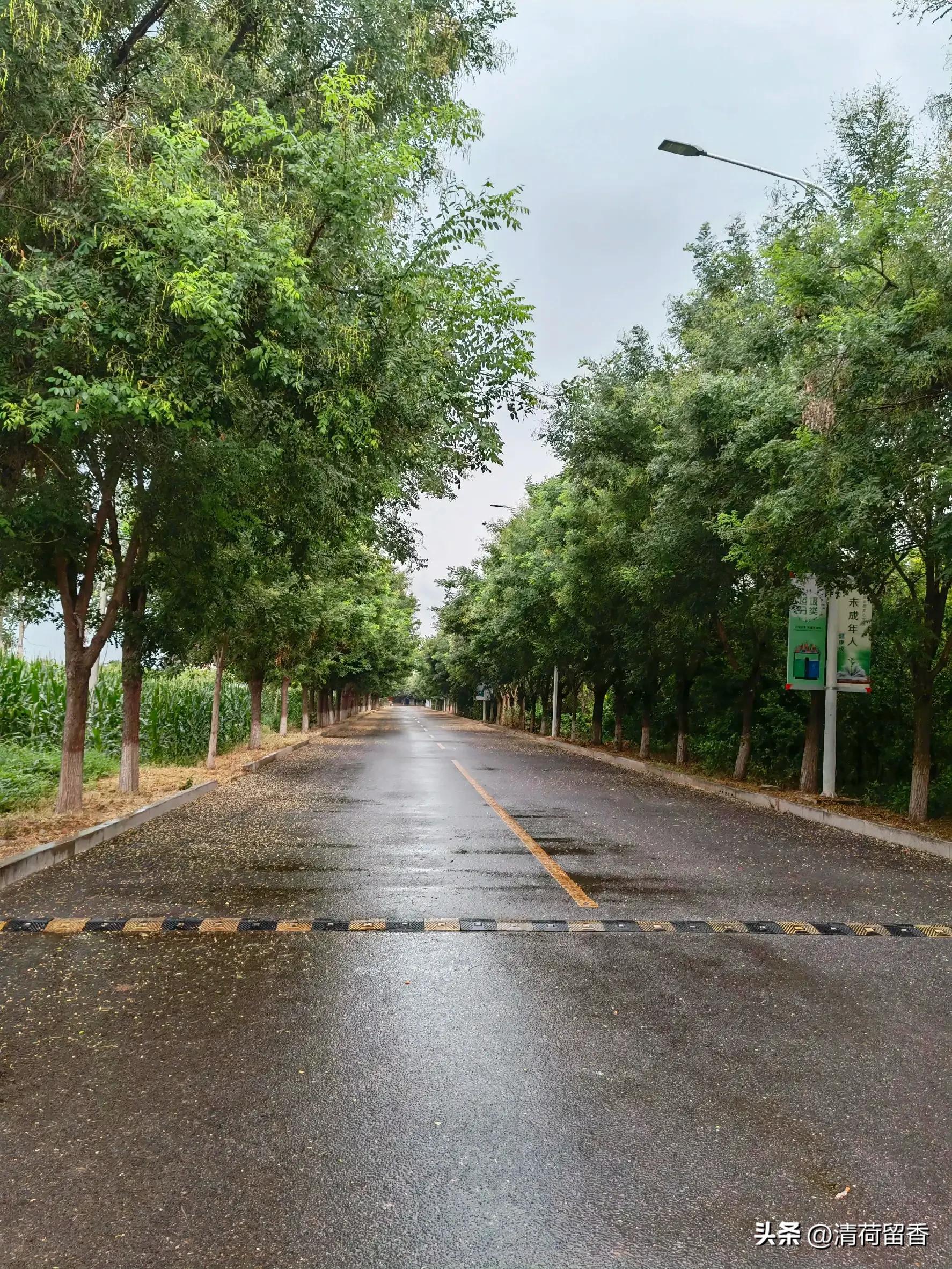 鏁ｆ枃闅忕瑪鍚洦,鏁ｆ枃闆ㄦ櫒