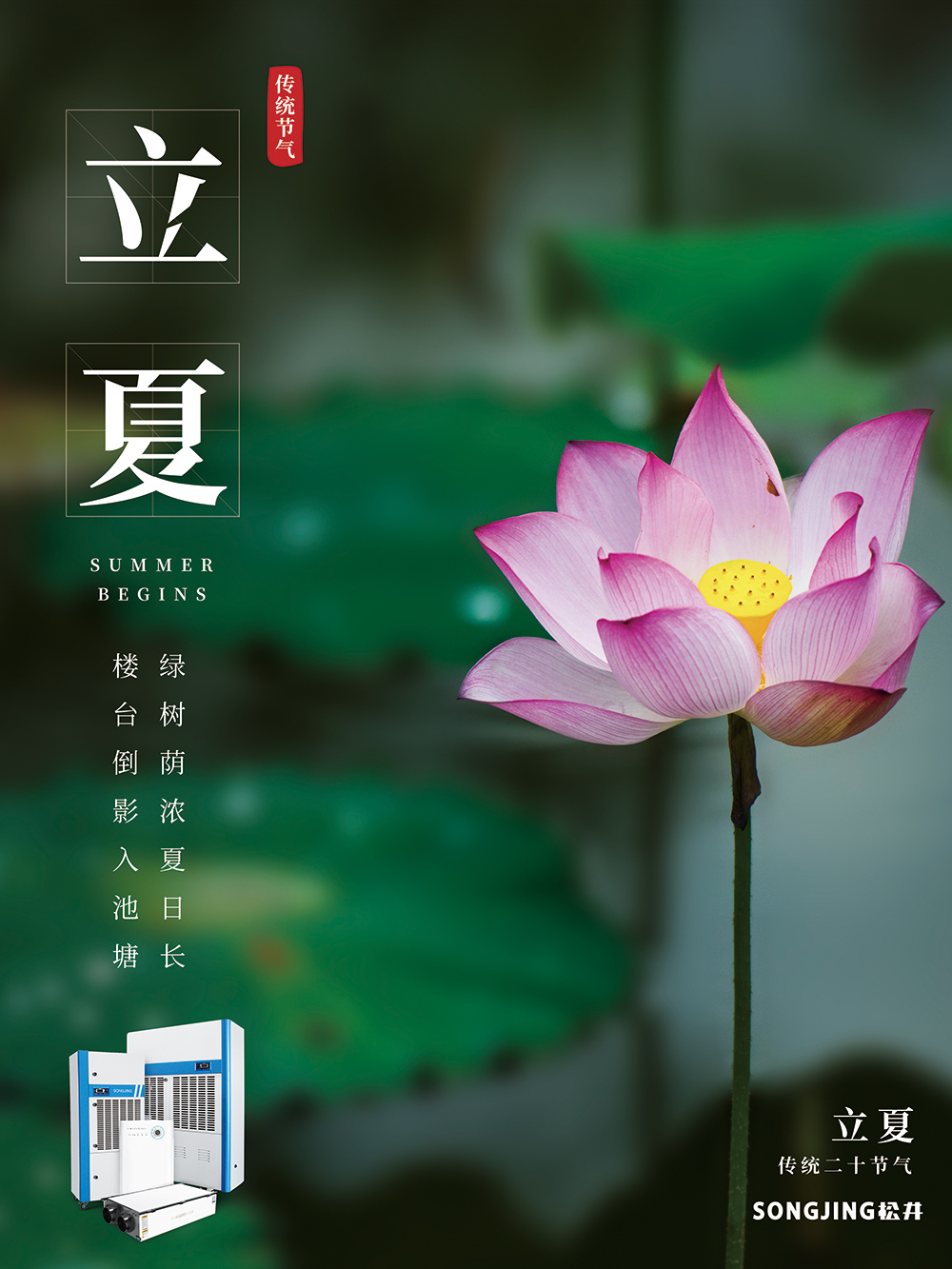 立夏过后酷热天气开始来临,立夏后天气还会潮湿吗