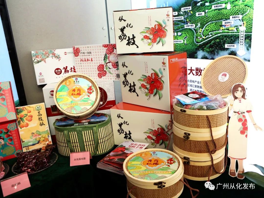 从化荔枝旅游节活动策划,关于广州增城荔枝节