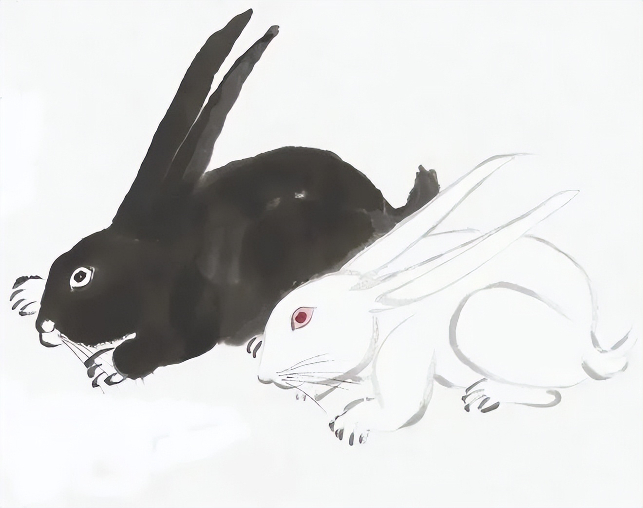 齐白石笔下富贵的牡丹,齐白石写意兔子