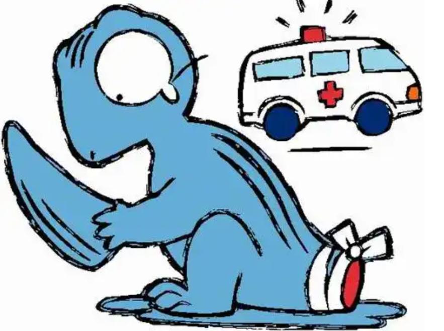 壁虎可怕,壁虎很可怕