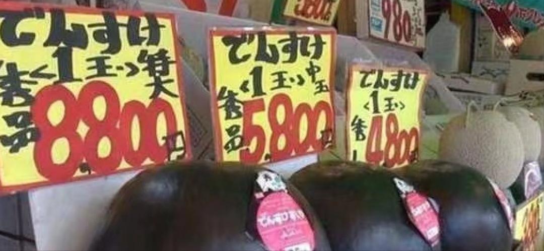 “中国人那么穷，吃过西瓜吗？”日本网友调侃，话音刚落啪啪打脸