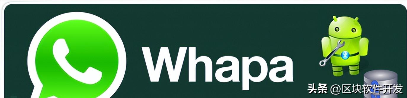 whatsappapi使用教程,一招教你如何高效利用whatsapp