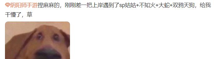 sp红叶鸦天狗斗技阵容搭配,阴阳师手游白藏主和鸦天狗斗技
