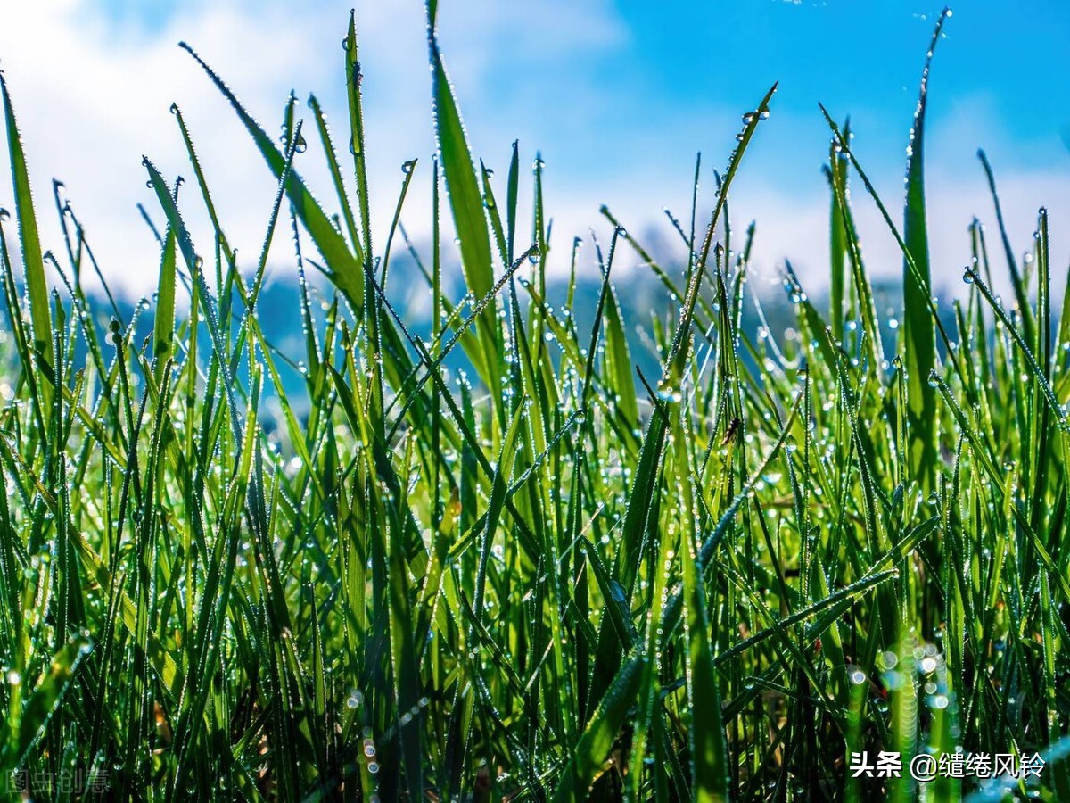 飘荡的涟漪,涟漪在空中飘