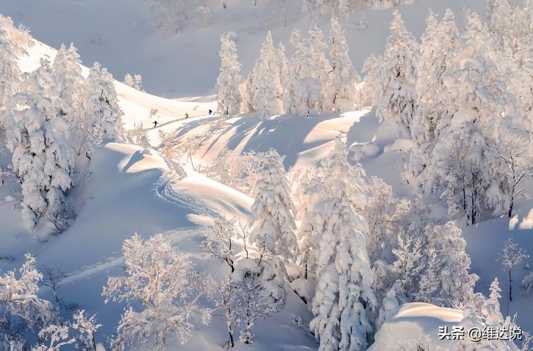 真正的日本北海道,北海道最近是空城吗