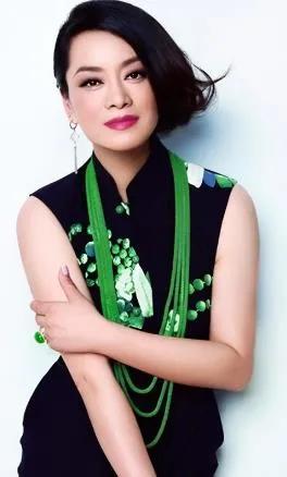 毛阿敏是中植集团的什么人,中植系解直锟与毛阿敏年龄差