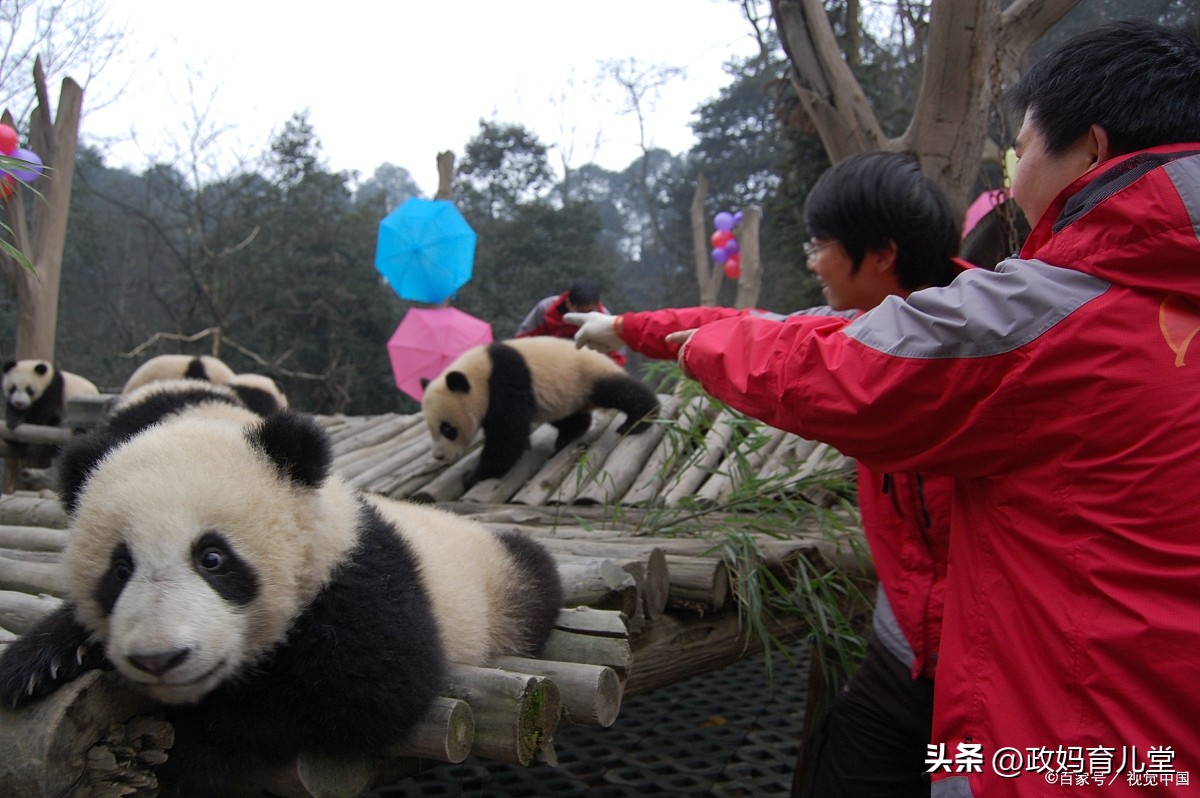 广州出发四天三晚旅游推荐亲子游,上海亲子游旅游2-3天详细攻略