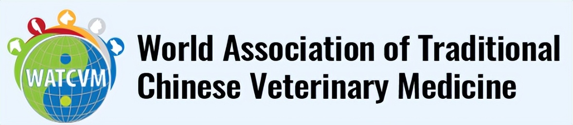 给狗做针灸的视频,带狗去针灸