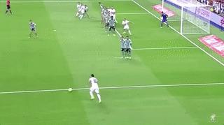 世界杯足球场维护,世界杯火热进行