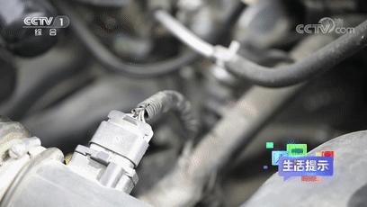 烧伤928天后重生的女孩,24岁女孩曾遇汽车自燃三度烧伤