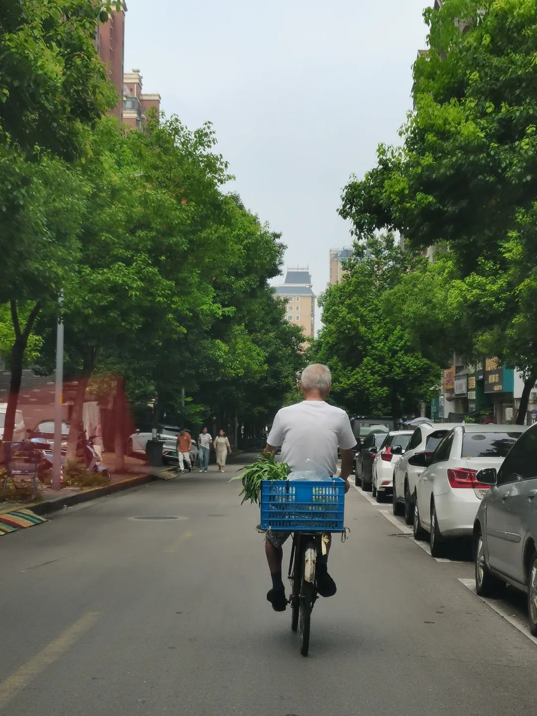 大学填志愿日常,填大学志愿头疼