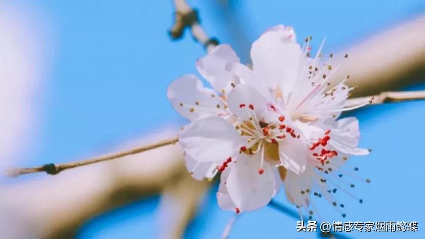 你很烦躁怎么能把心态调好,学会控制情绪克服烦躁心理