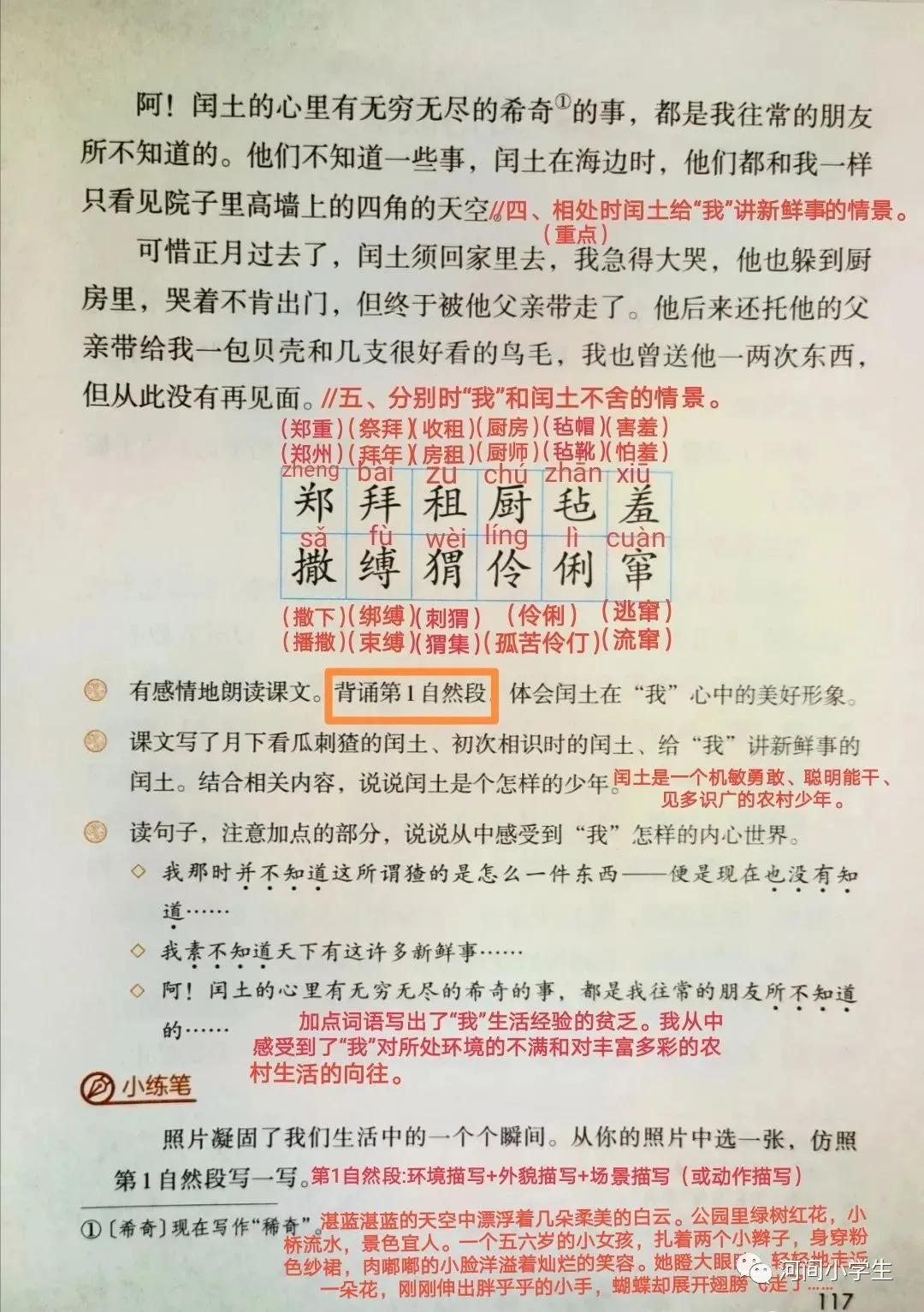 六年级语文上册第八单元教学重点和《25少年闰土》课堂笔记