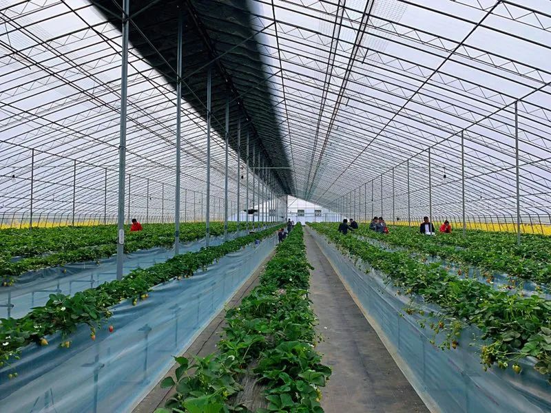 多规合一实用性村庄规划编制流程,实用性村庄规划编制是什么意思