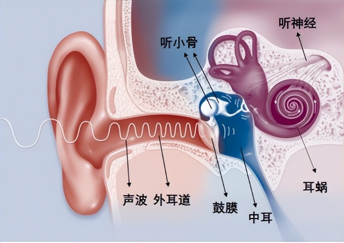 听治耳鸣音乐,耳鸣诊疗音乐