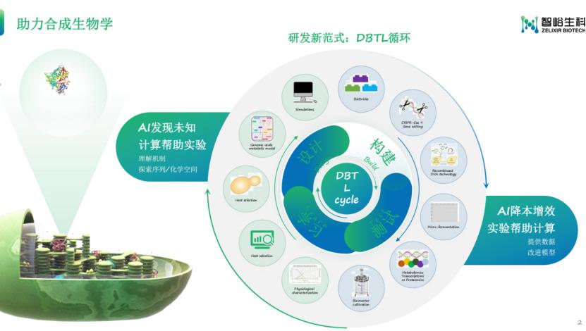 智峪生科创始人王晟:全生态生物合成元件计算设计平台峪云ZCloud