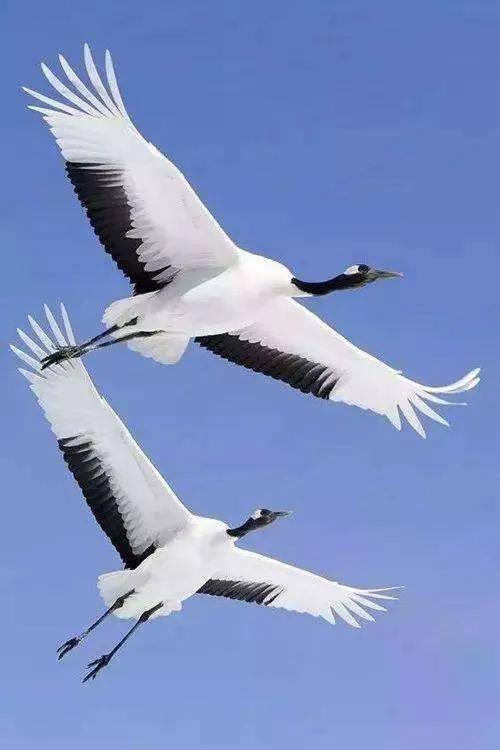 爱情三字名字,爱情三字英文