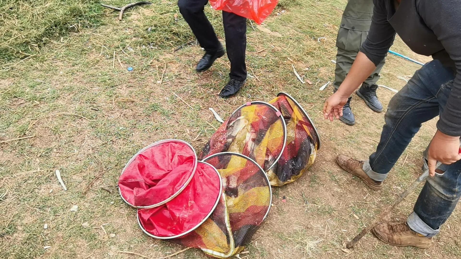 天目湖库钓大赛,昆明呈贡杨官庄水库