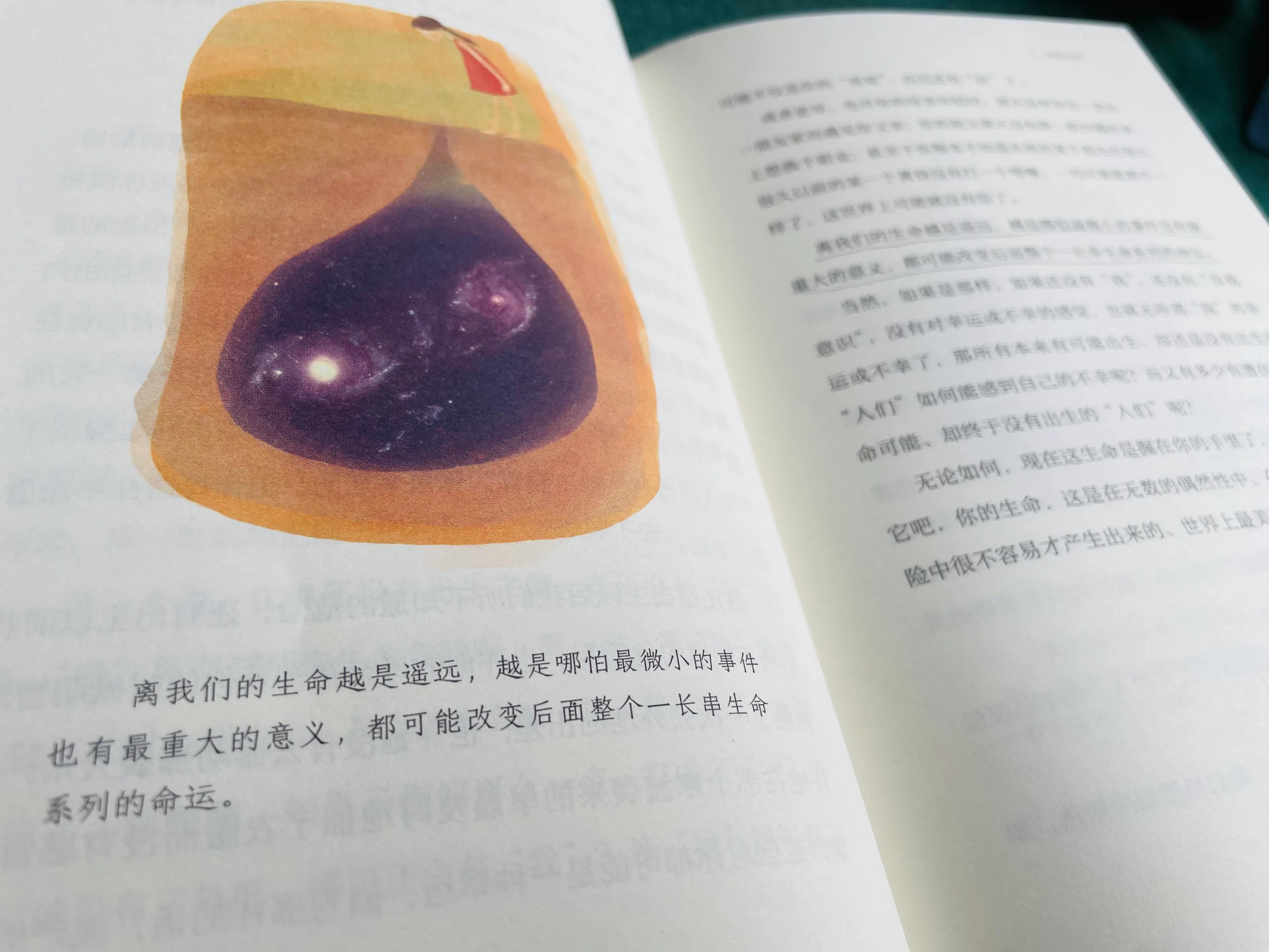 与青少年对话书籍,怎么跟小学生谈生命