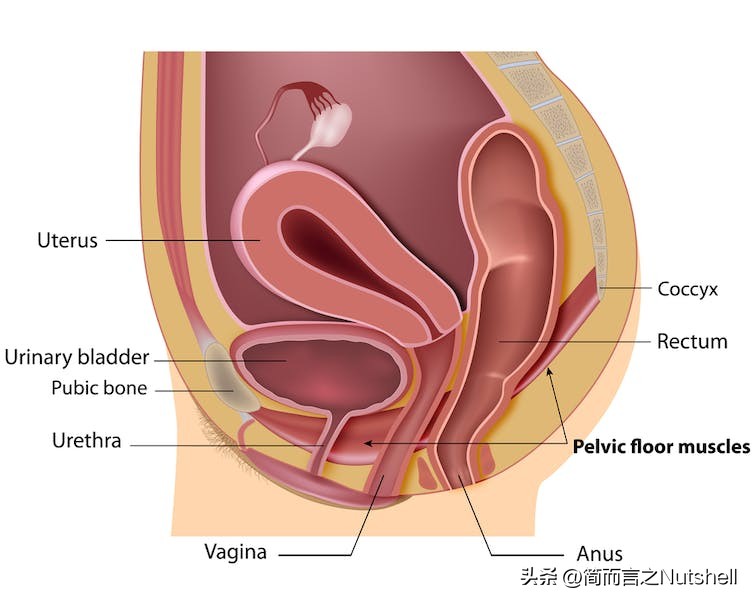 站着嘘嘘的好处,坐着嘘嘘有啥好处