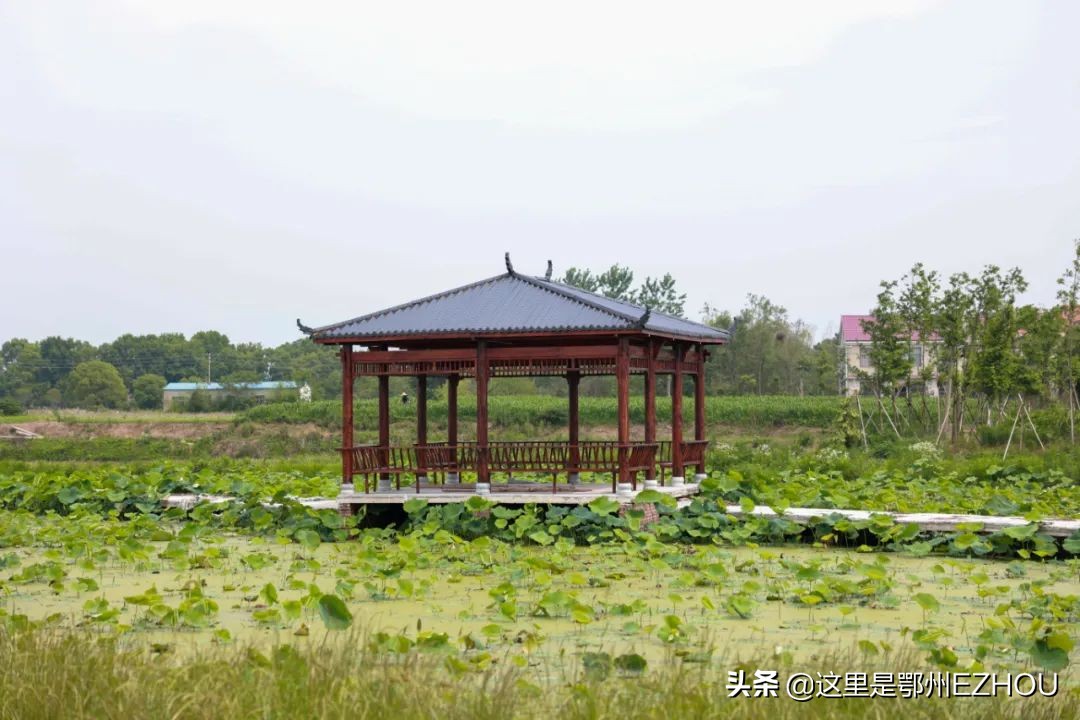 返乡创业投资百万元,回乡创业创新项目