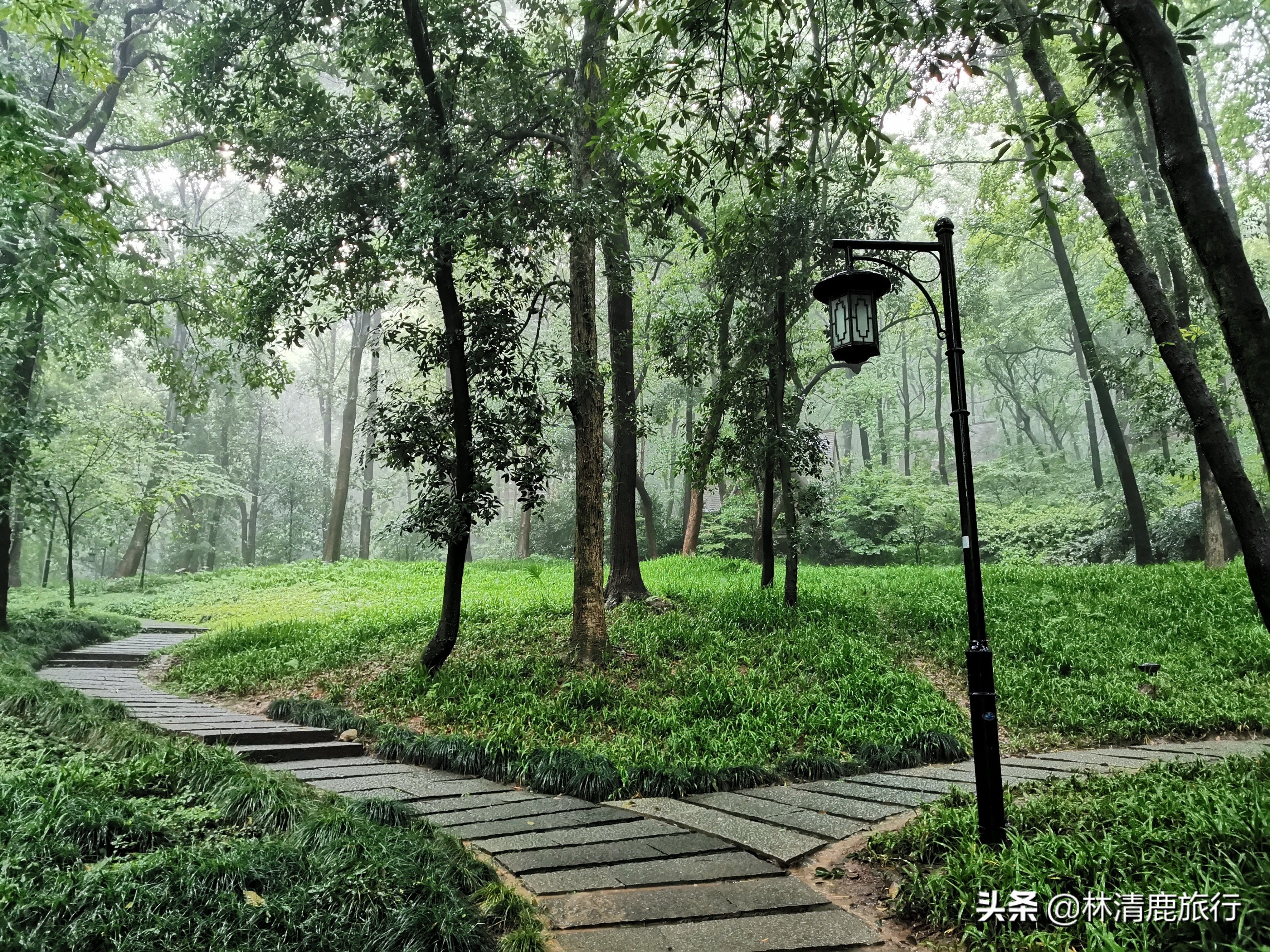 国内夏季避暑的城市,夏季避暑城市都有哪