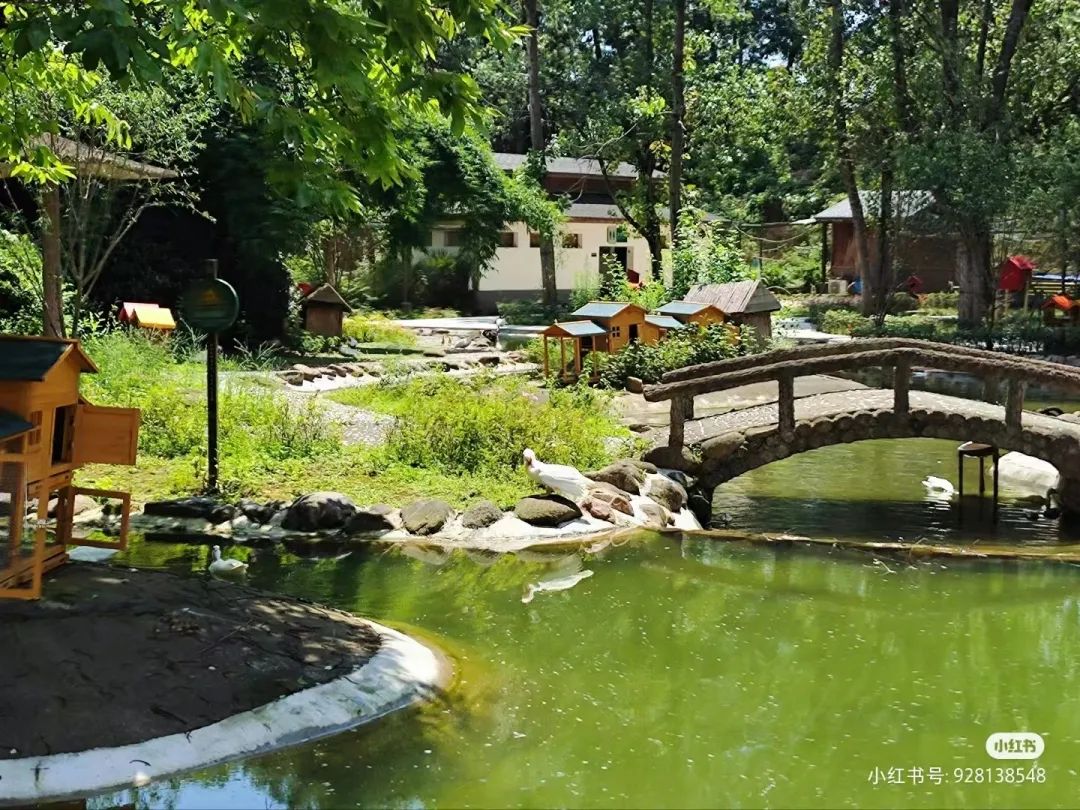 信阳南湾湖一日游详细攻略,信阳三日游攻略