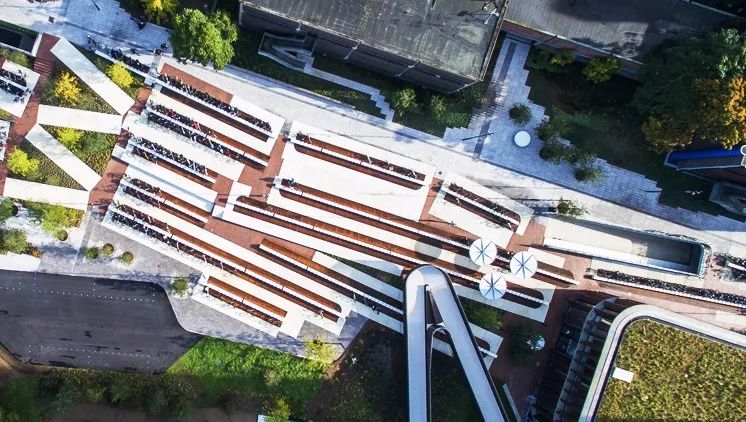 屋顶适合建设哪种绿色屋顶,绿色屋顶建筑