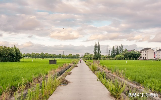 美丽乡村绘画,美丽乡村1-45集免费