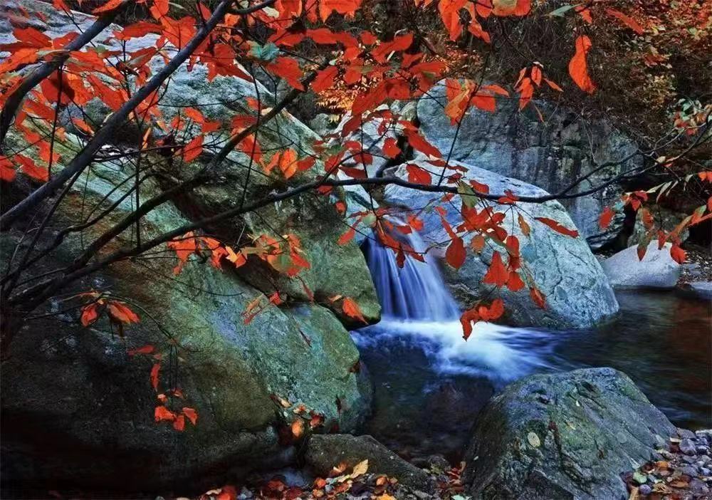 秋思最好听的十首诗,最美秋思的诗句