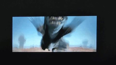 newz6x与z6x第四代对比,realmeq2pro对比redmi10x