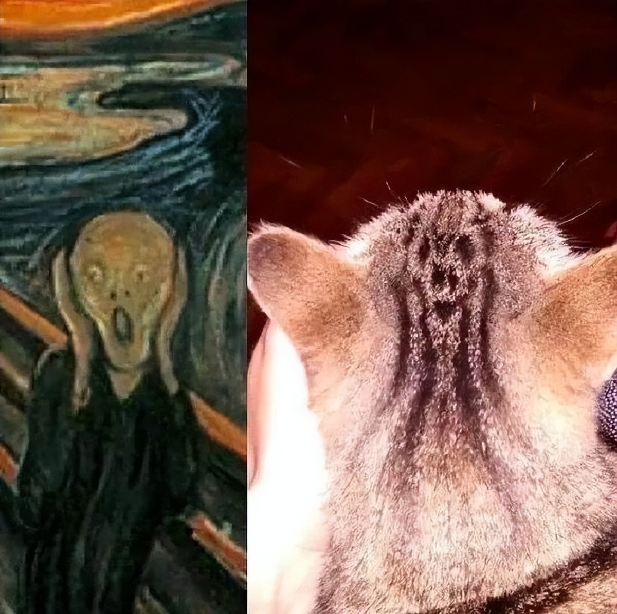 微信输入法刚出来时被吐槽,微信输入法如何更新测试版