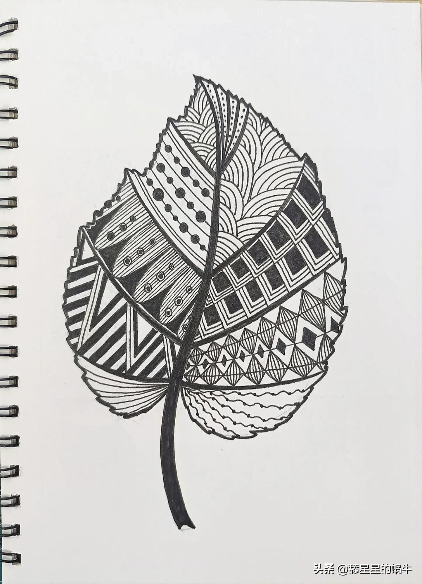 树叶黑白线描画简单花纹,点线面的树叶创意线描