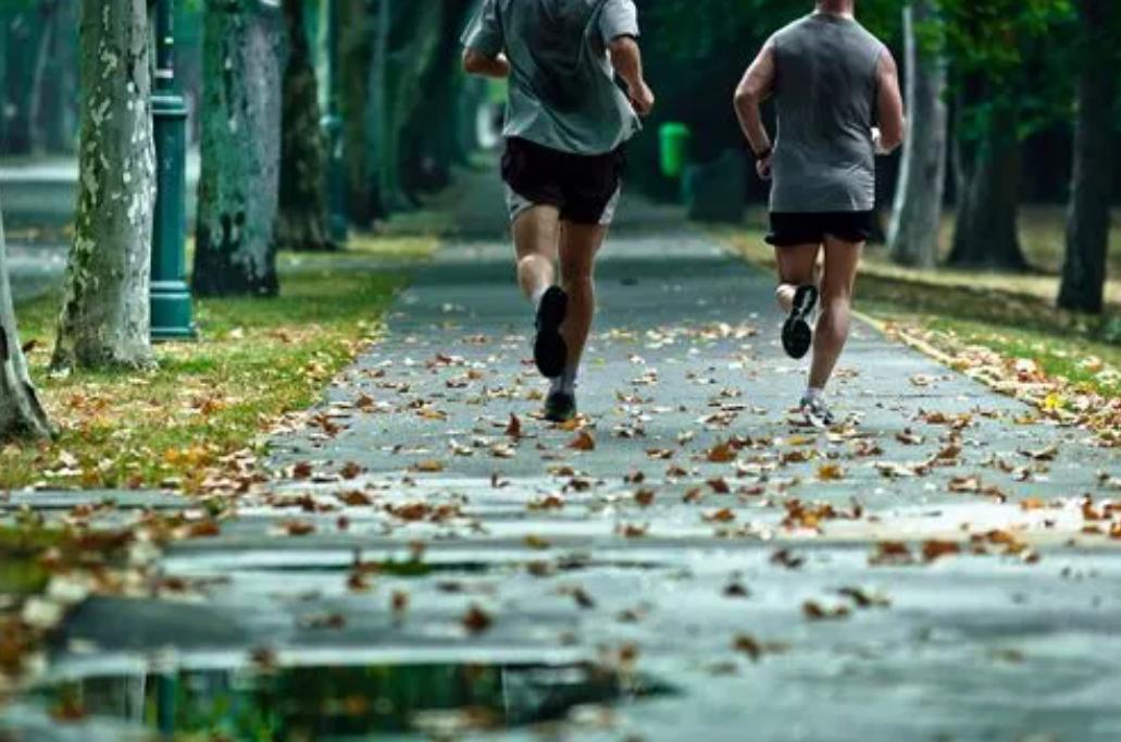 研究发现：运动不仅抗击炎症，还诱导产生益生菌，适当运动好处多