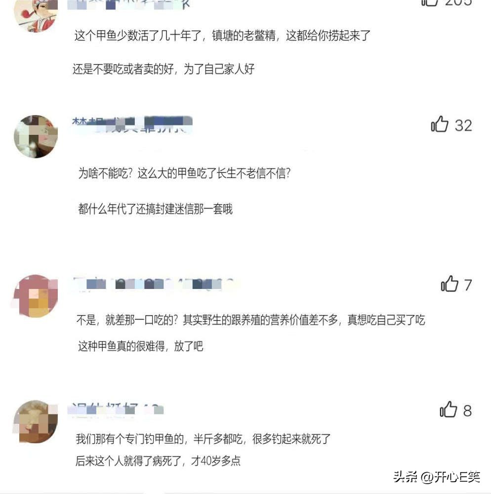 村民捕获2斤重野生甲鱼,80岁老人捕野生甲鱼