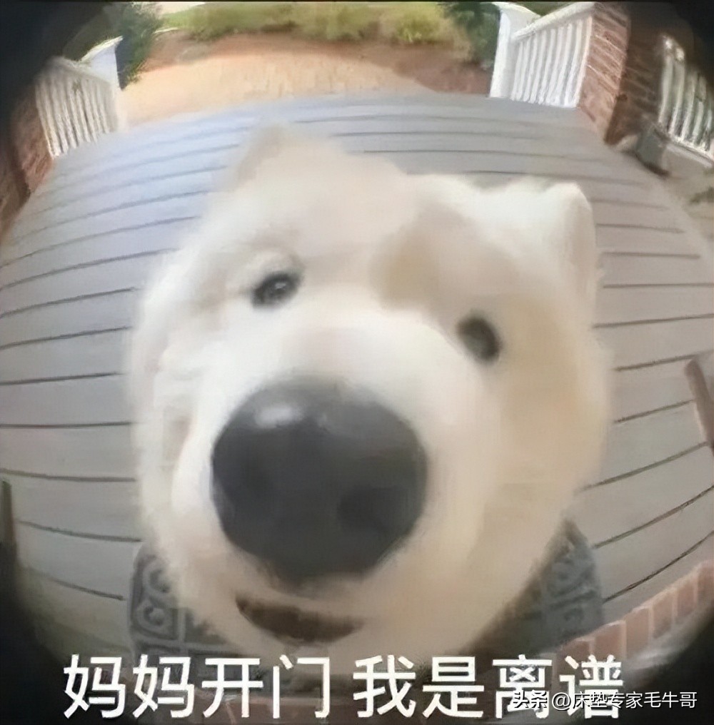 装修小白必看的6本书,装修小白必读的三部曲