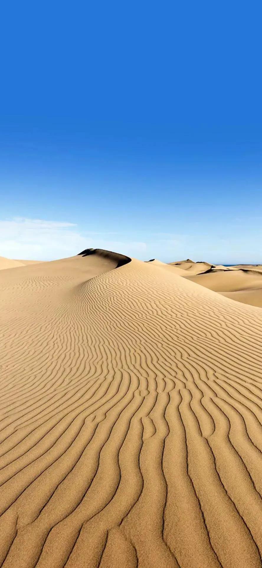沙漠壁纸图片大全高清,苹果专用沙漠壁纸全屏
