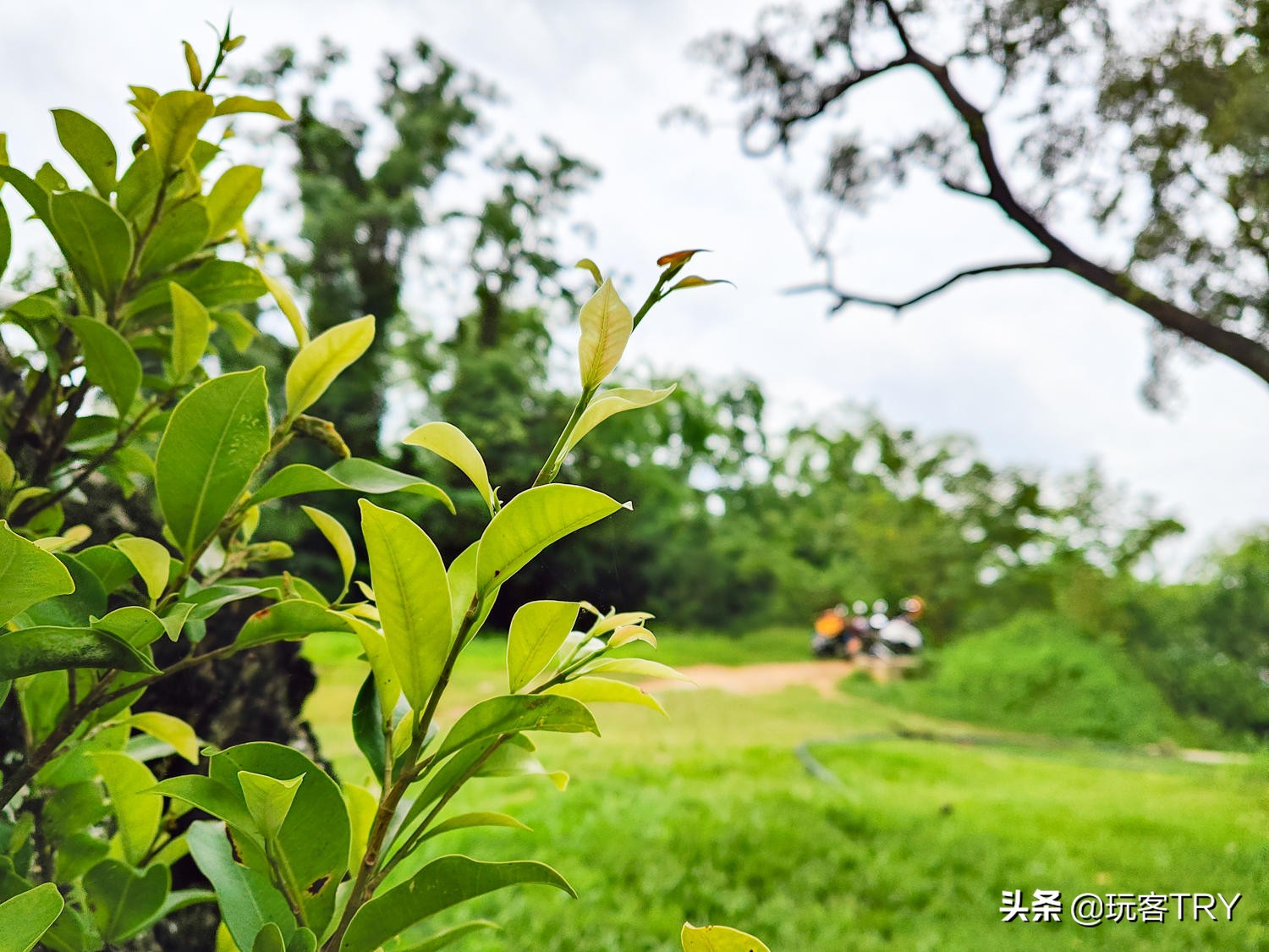 闲鱼捷安特假货多不,闲鱼卖的捷安特atx660假的吗