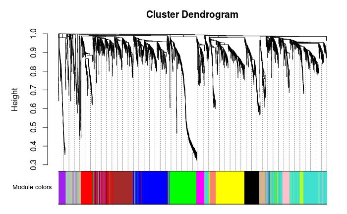wgcna分析结果解读,wgcna分析与gsea分析区别