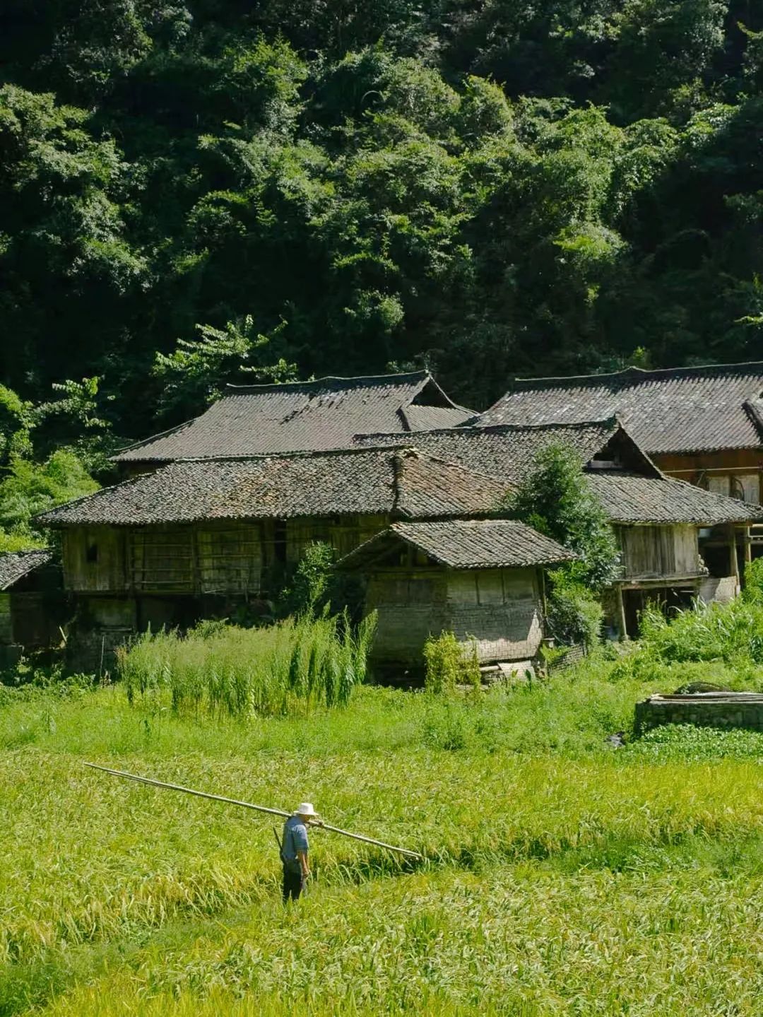 他在贵州租下200亩山谷，95后纷纷投奔：过不花钱的日子，很快乐