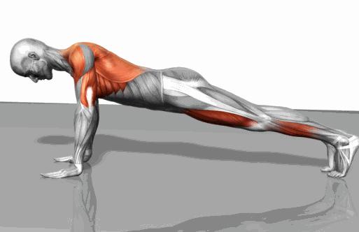 健身必备50个经典动作,锻炼全身的动作30分钟健身男士