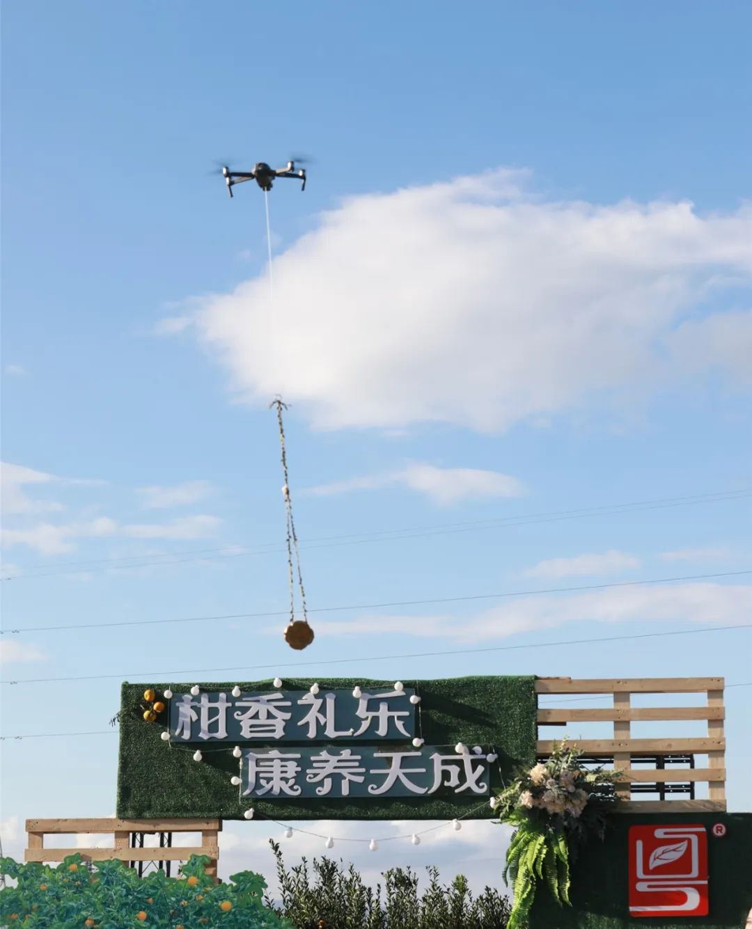 世纪茗家首届庆丰收线上柑园音乐会暨有机新品发布会圆满举办