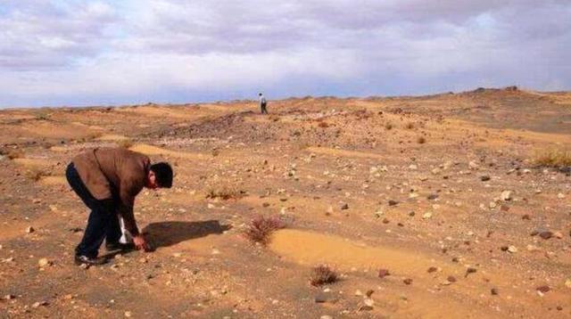 内蒙古遍地半透明石头,内蒙古发现玛瑙