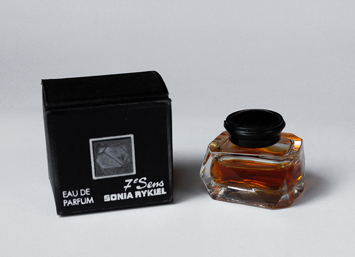 深圳出现“小灵猫”，全身灰黑色斑纹像老鼠，最爱钻进古墓去住？